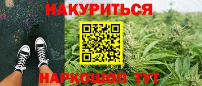 сатива Жуковский